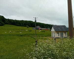 Randonnée depuis Notre-Dame-de-Courson - Livarot-Pays-d'Auge - 3