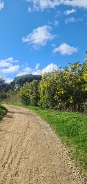 Sur les traces du Roc d'Azur - Roquebrune-sur-Argens - 10