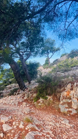Faron et point sublime - Toulon - 18