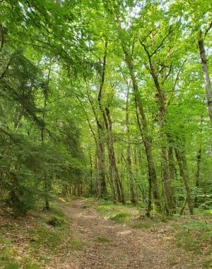 Moustier-Ventadour et le fief des troubadours - Moustier-Ventadour - 2
