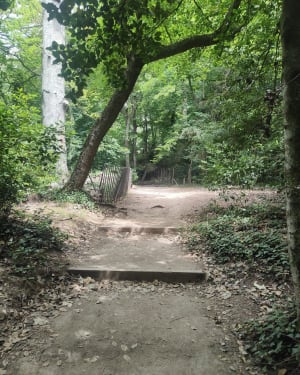 Wandeling in het Saint-Ponspark - Gémenos - 10