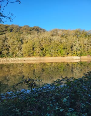 Barage de  Pierre Brune,  La grand Rhee - Mervent - 9