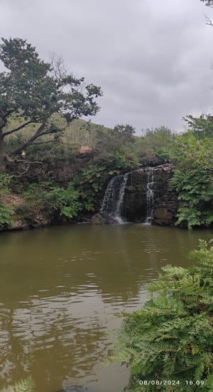 De Uzkaingo Erreka-waterval van Ascain - Ascain - 71