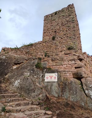 Randonnée des castels d'Husseren-les-Châteaux - Husseren-les-Châteaux - 24