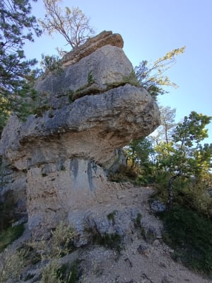 Baus del Biel et sentiers balcon sur le Tarn - Saint-Pierre-des-Tripiers - 45