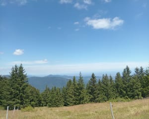 De Rimbach-près-Guebwiller au Grand Ballon par les GR® - Peggy - 2