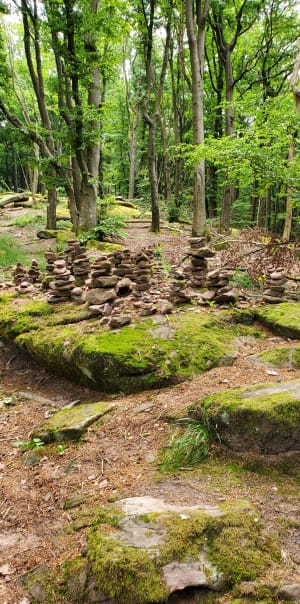 Randonnée des châteaux fort d'Alsace. - Obersteinbach - 2