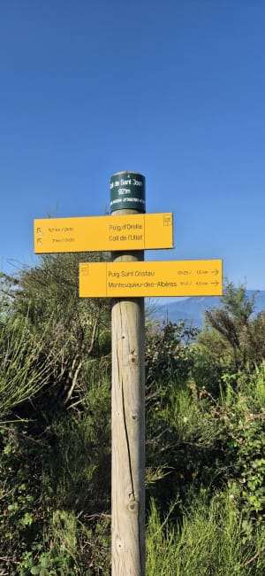 Pic de Saint-Cristau par le col de l'Ouillat - Laroque-des-Albères - 5