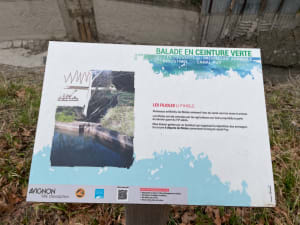 Balade en ceinture verte d'Avignon en VTC - Avignon - 18