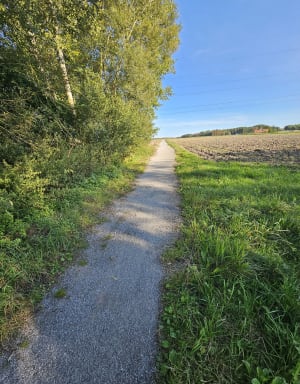 Les chemins de Louvil jusqu'aux marais de Bonnance - Louvil - 3