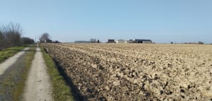 Promenade à Cassel - Bavinchove - 16