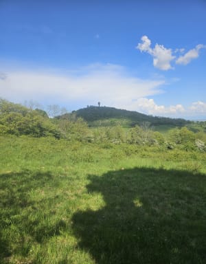 Belles vues et Cabornes en pierres - Saint-Didier-au-Mont-d'Or - 20