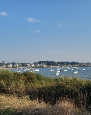 Plages bretonnes par le GR® 34 et vues sur l'océan à Damgan - Damgan - 12