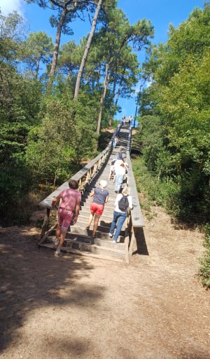 Sentier du Pey de la Blet - La Barre-de-Monts - 23