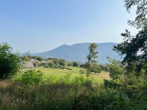Chapelle de Poirin par Vongnes 01. - Vongnes - 2