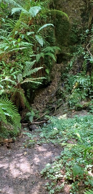 Sentier karstique et immersion en forêt - Oloron-Sainte-Marie - 18