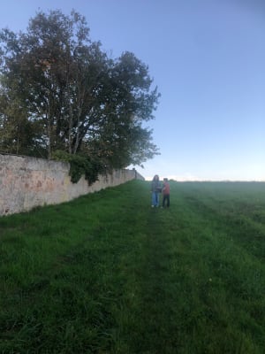 Entre boersch et ottrot - Obernai - 9