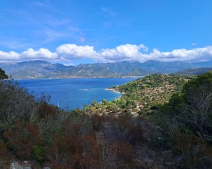 Loop naar Punta di Cepo in de Agriates-woestijn - Saint-Florent - 20