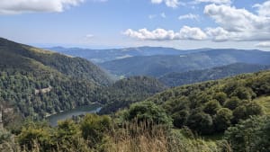 Étang Machey, Lac de Blanchemer, Rainkopf et Rothenbachkopf - La Bresse - 36