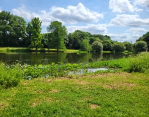 Parc des Gayeulles et des Bois, à Rennes - Rennes - 6