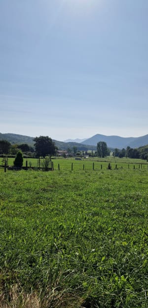 Sauveterre-de-Comminges et virée curieuse dans des hameaux - Sauveterre-de-Comminges - 10