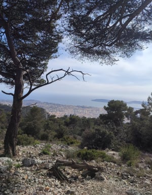 Uitzonderlijk uitzicht vanaf de Pointe des Abeilles op de Mont Faron - Toulon - 3