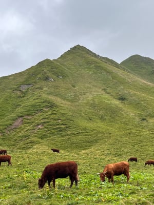Randonnée au Sancy - Mont-Dore - 128