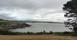 En longeant la mer de Treguer - Ploéven - 10