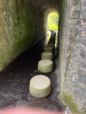À la découverte de Rémouillé et de ses rivières - Remouillé - 8