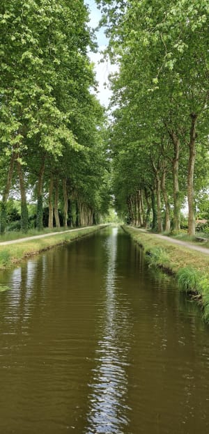 Balade sur le canal de Sauldre - Nouan-le-Fuzelier - 5