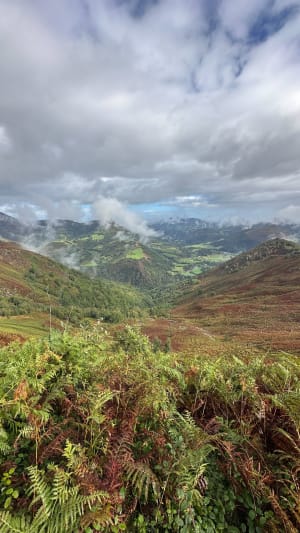 Au pied des Crêtes d'Iparla et Col de Lacho - Bidarray - 20