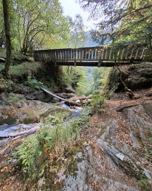 Entre torrent et cascade à Beaudean - Beaudean - 11