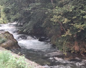 Entre torrent et cascade à Beaudean - Beaudean - 12