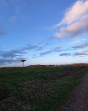 La Mainborgère à pied - Château-Guibert - 6