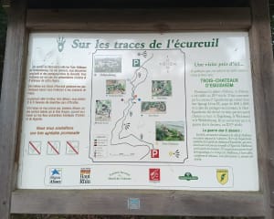 Sur les traces de l'écureuil, au Rocher Turenne depuis Eguisheim - Eguisheim - 14