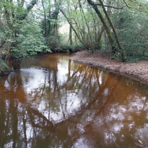 Vadrouille dans les landes et mise au vert authentique - Belin-Béliet - 4