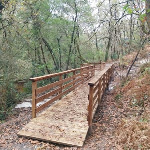 Vadrouille dans les landes et mise au vert authentique - Belin-Béliet - 6