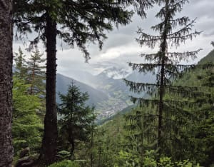 Grotte de Barmafi et charme forestier - seb - 4