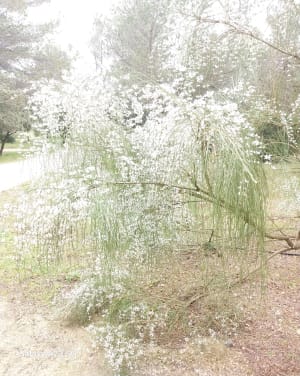 Déconnexion totale autour du parc de Figuerolles - Martigues - 21