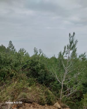 Déconnexion totale autour du parc de Figuerolles - Martigues - 23