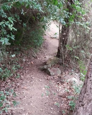 Déconnexion totale autour du parc de Figuerolles - Martigues - 24