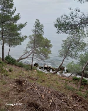 Déconnexion totale autour du parc de Figuerolles - Martigues - 26