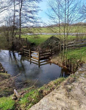 Ménerval et son monument classé, le Pont de Coq - morgan - 5