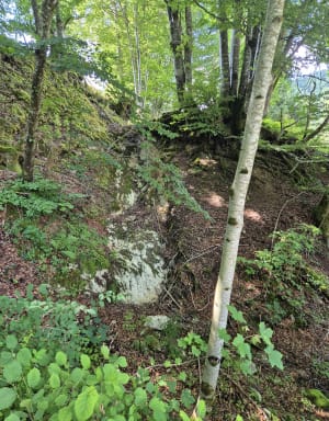 Vaux et les "planches" - Plateau d'Hauteville - 4