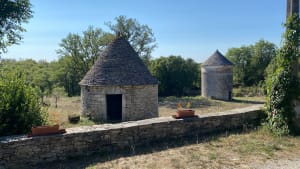 Balade féline les vallons de Catus - HENRY - 2