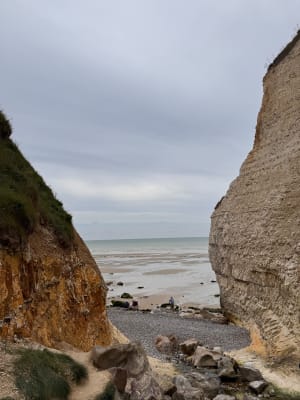 De Varengeville à Pourville, entre Valleuses et Estran à marée basse - Varengeville-sur-Mer - 10