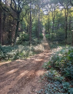 Parcours 2 Oursbelille - Oursbelille - 4