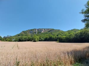 Belle petite randonnée dans la commune de Magnieu - Or - 8