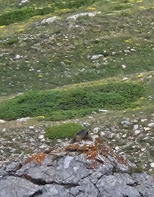 Casse Déserte - Lac de Soulier - La chalp - 4