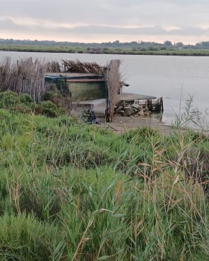 Etang de la Maïre - Sérignan - 8
